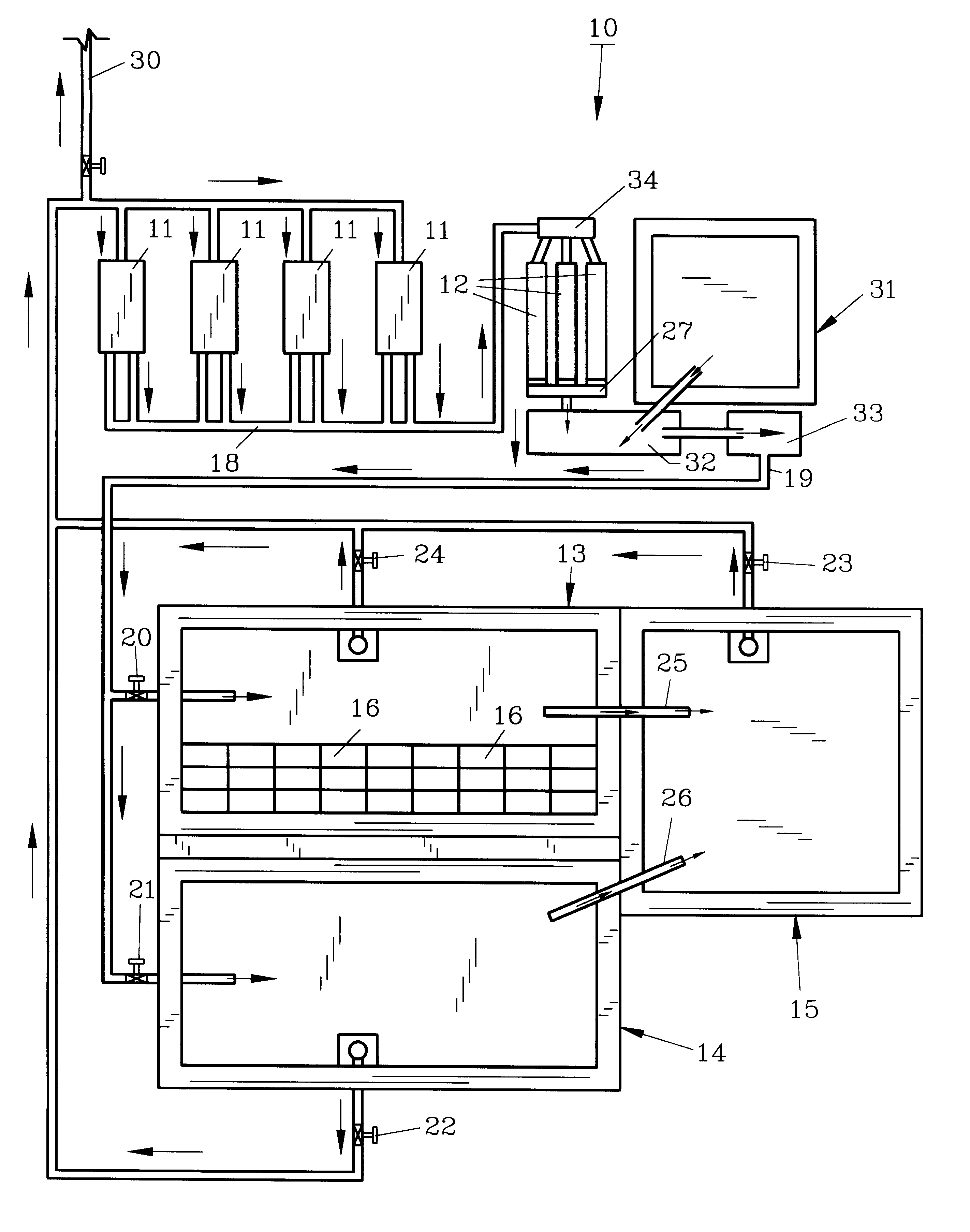 Hog waste processing apparatus and method