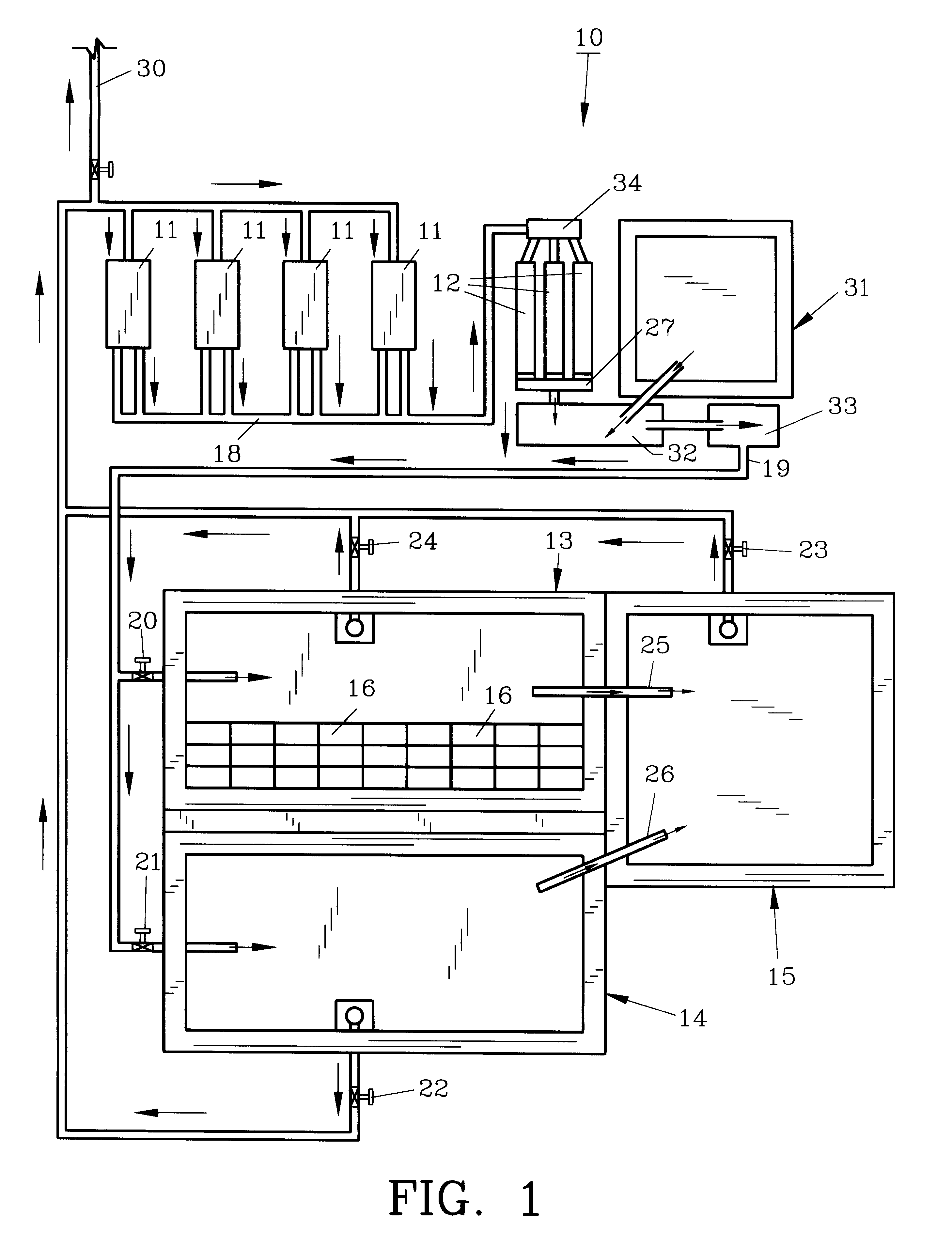 Hog waste processing apparatus and method