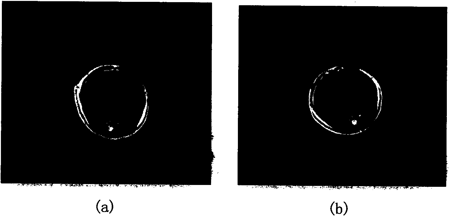 Nano magnetic resonance imaging contrast agent and preparation method thereof