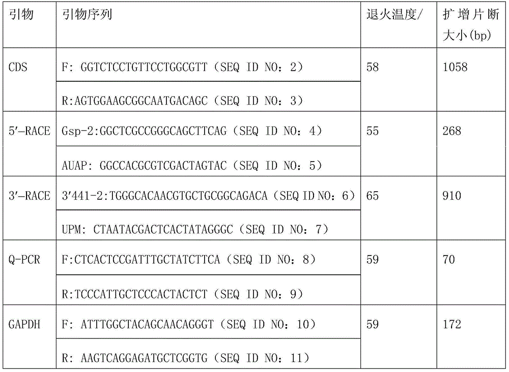 Clone and application of pig meat quality character relevance WNT10B gene molecular mark