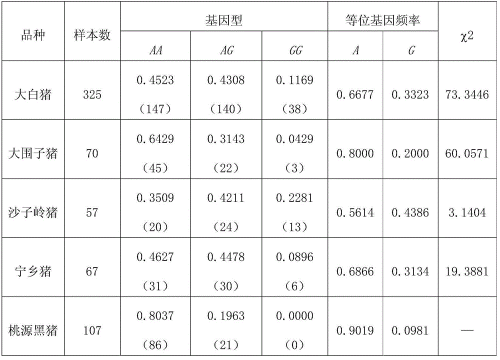 Clone and application of pig meat quality character relevance WNT10B gene molecular mark