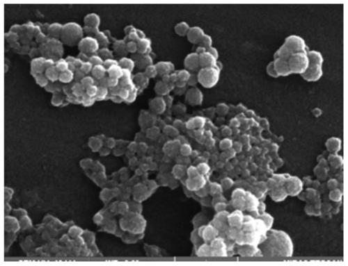 Polyethyleneimine imprinted polymer probe and its preparation method and application