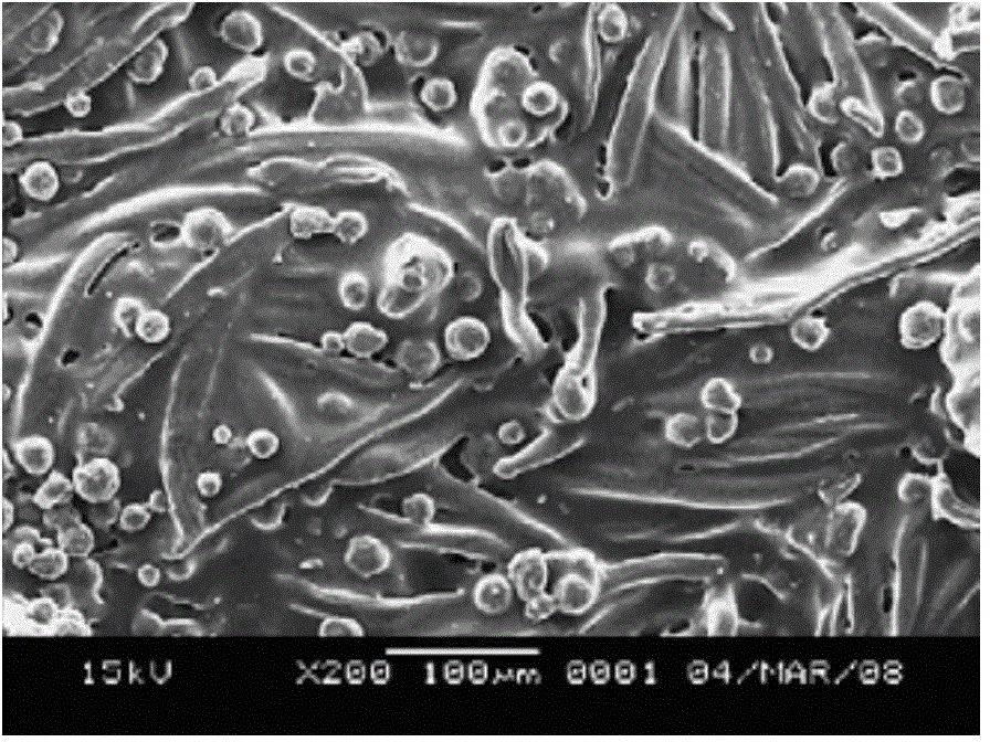 Cinnamon oil microcapsule fabric finishing liquid as well as preparation method and application thereof