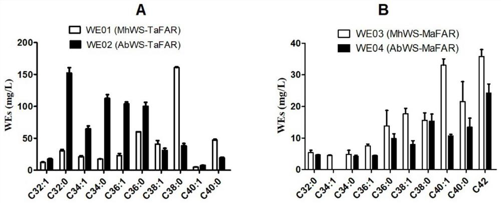 Yarrowia lipolytica genetically engineered bacteria and application thereof