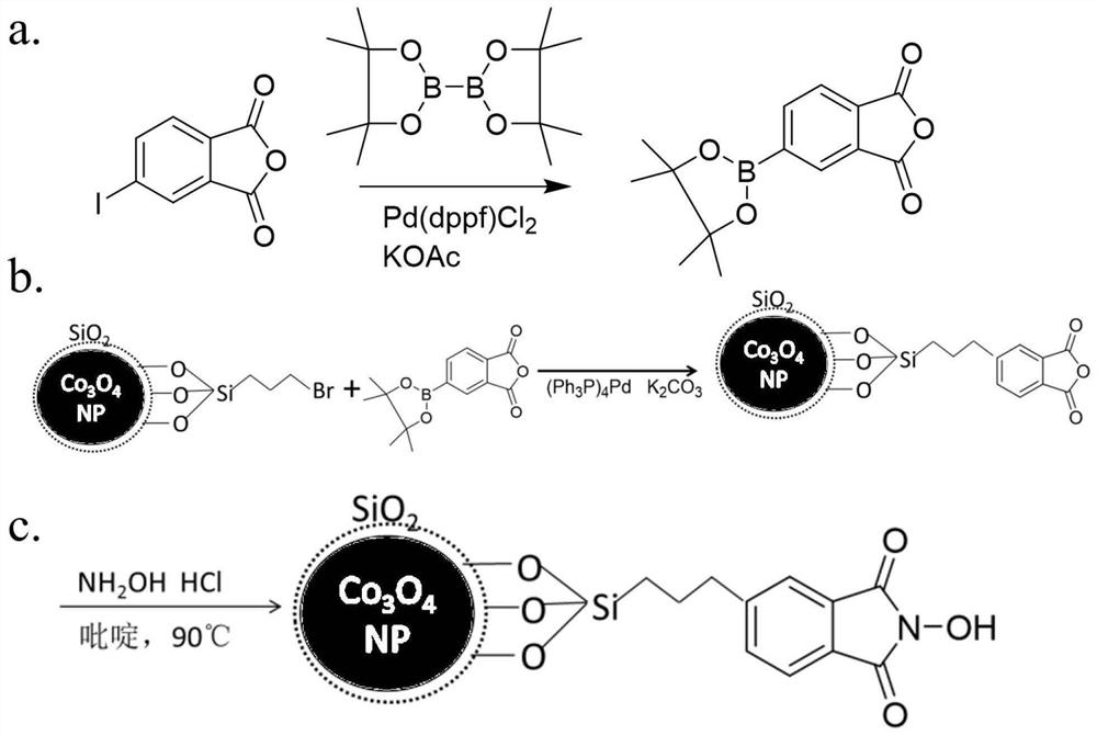 Magnetic separation nanoparticle grafted NHPI catalyst, preparation method and application thereof