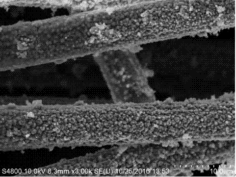 Carbon fiber supported CoWP catalyst and preparation method