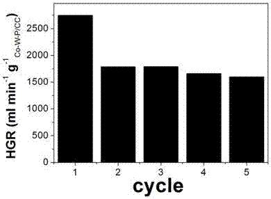 Carbon fiber supported CoWP catalyst and preparation method