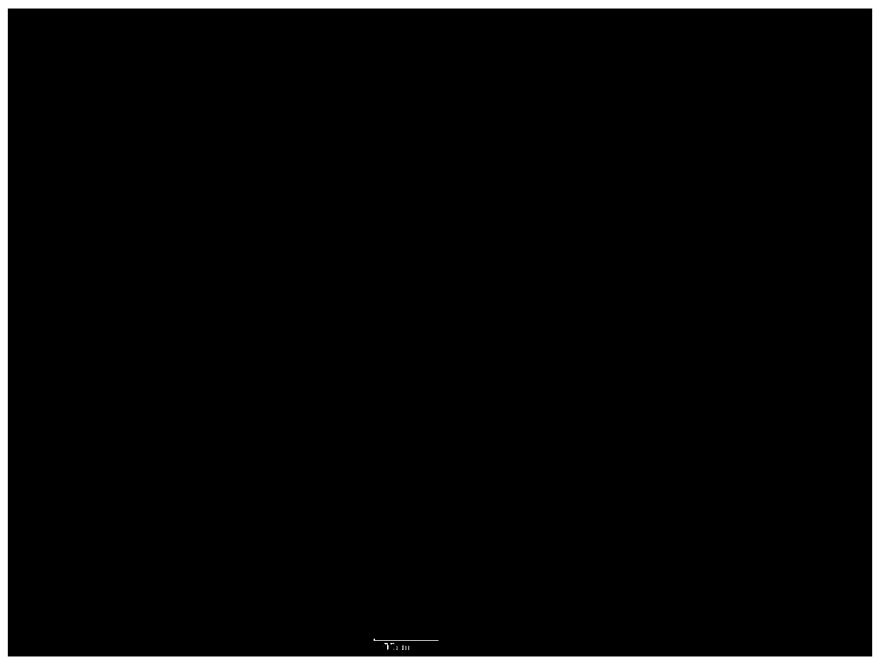 Method for separating chemical components of grass family plants and purifying lignin