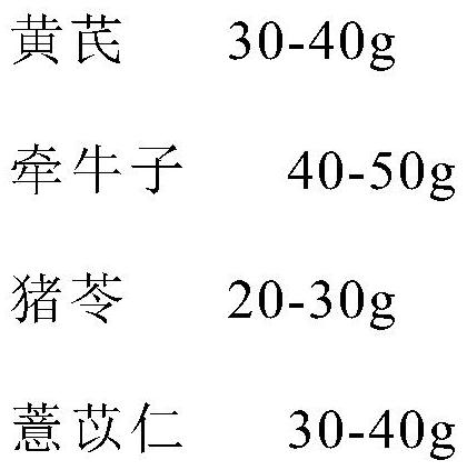 Traditional Chinese medicine dressing for treating malignant pleural effusion