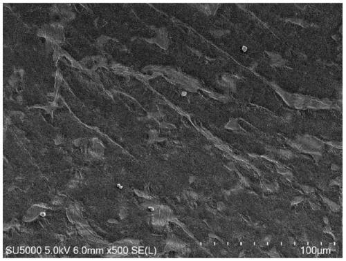 Polymer solid electrolyte and preparation method and application thereof