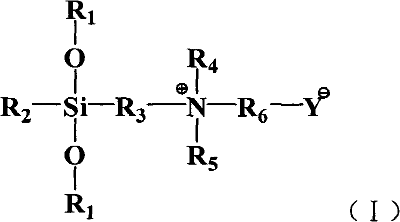 Antibiotic-mould proof textile fabric and method for preparing same