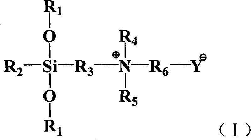 Antibiotic-mould proof textile fabric and method for preparing same