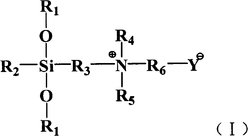 Antibiotic-mould proof textile fabric and method for preparing same