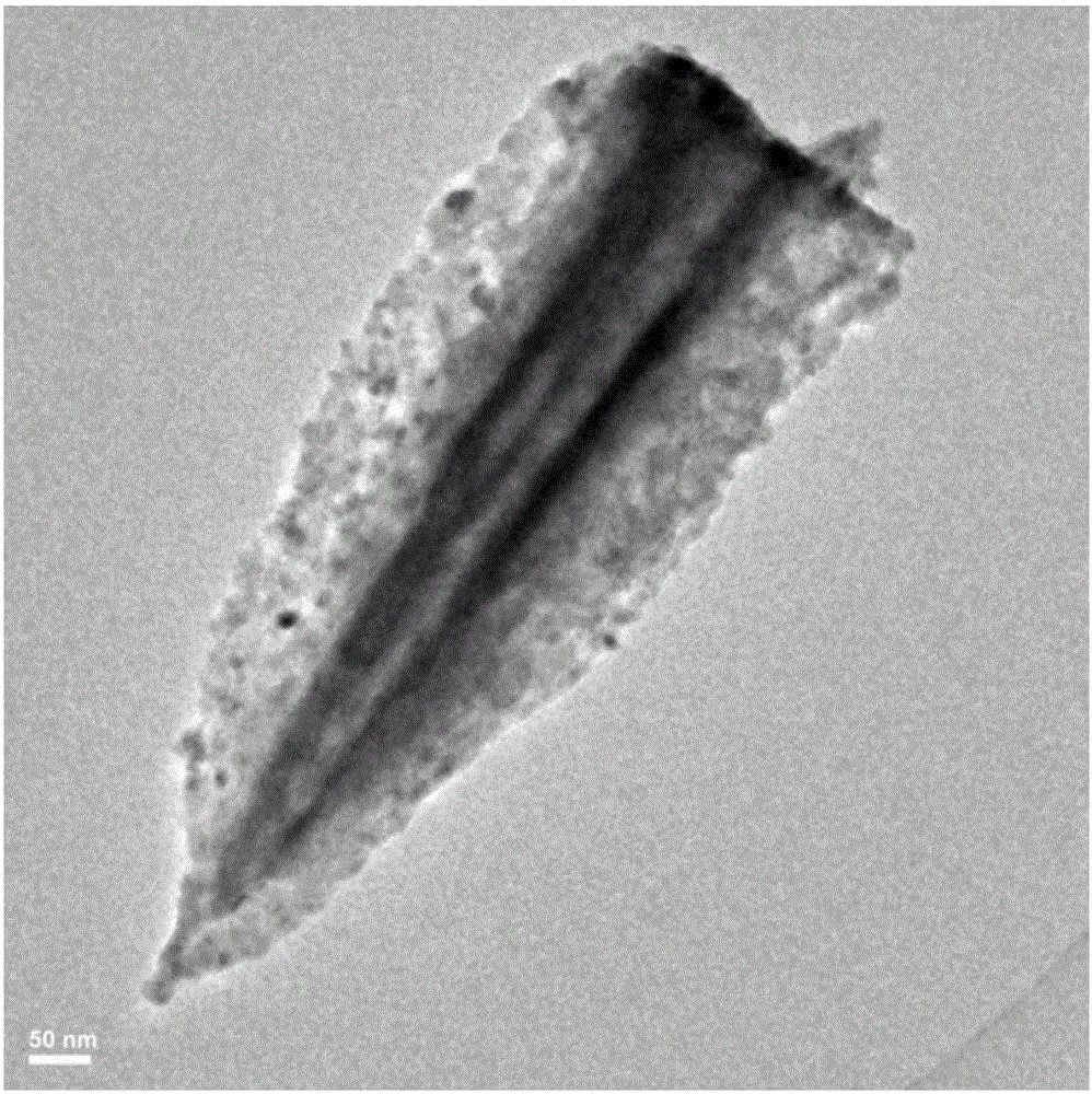 Preparation method for NiCo2S4@NiCo2O4 nanoneedle composite catalytic electrode with core-shell structure