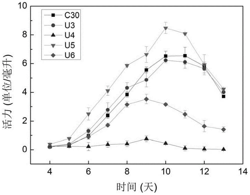 Trichoderma reesei recombinant strain containing artificial zinc finger transcription factor and application of Trichoderma reesei recombinant strain