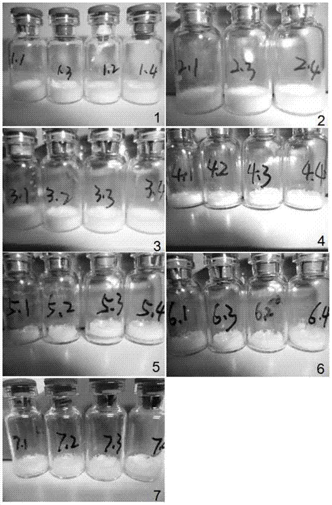 Multivalent meningococcal preparation kit, vaccine preparation and preparation method thereof