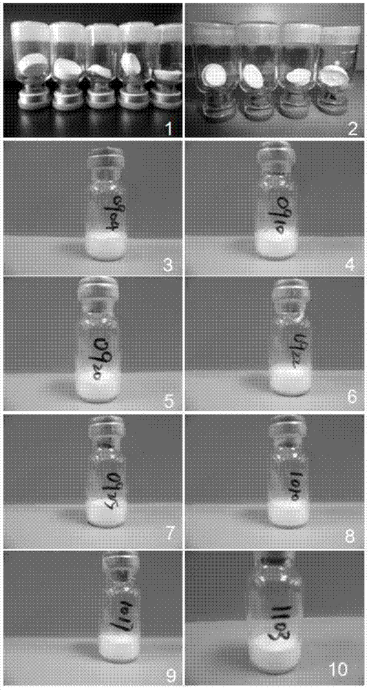 Multivalent meningococcal preparation kit, vaccine preparation and preparation method thereof