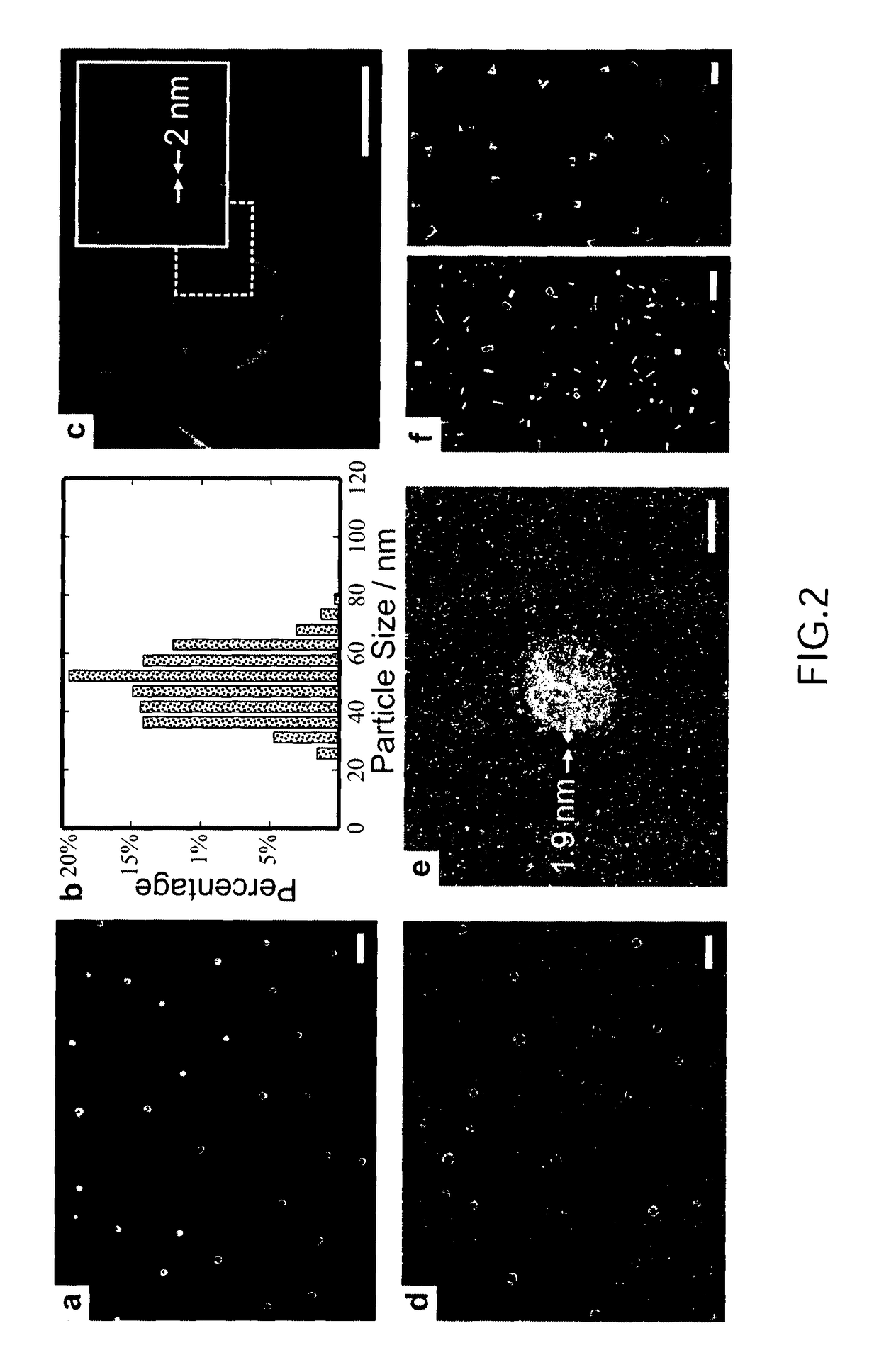 Two-dimensional polymeric structures and method for producing thereof