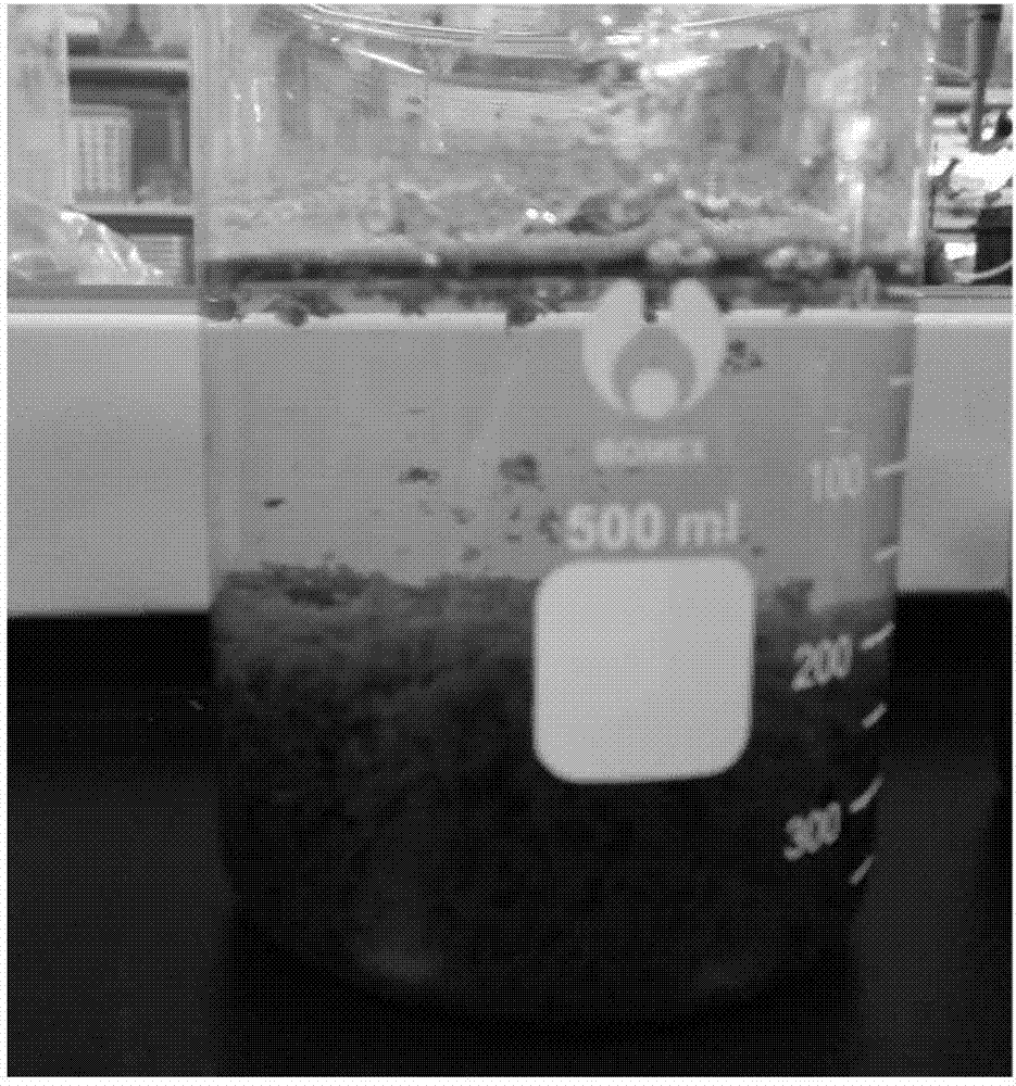 Method for pretreating organic wastewater