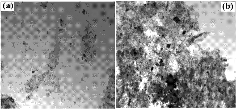 Method for pretreating organic wastewater