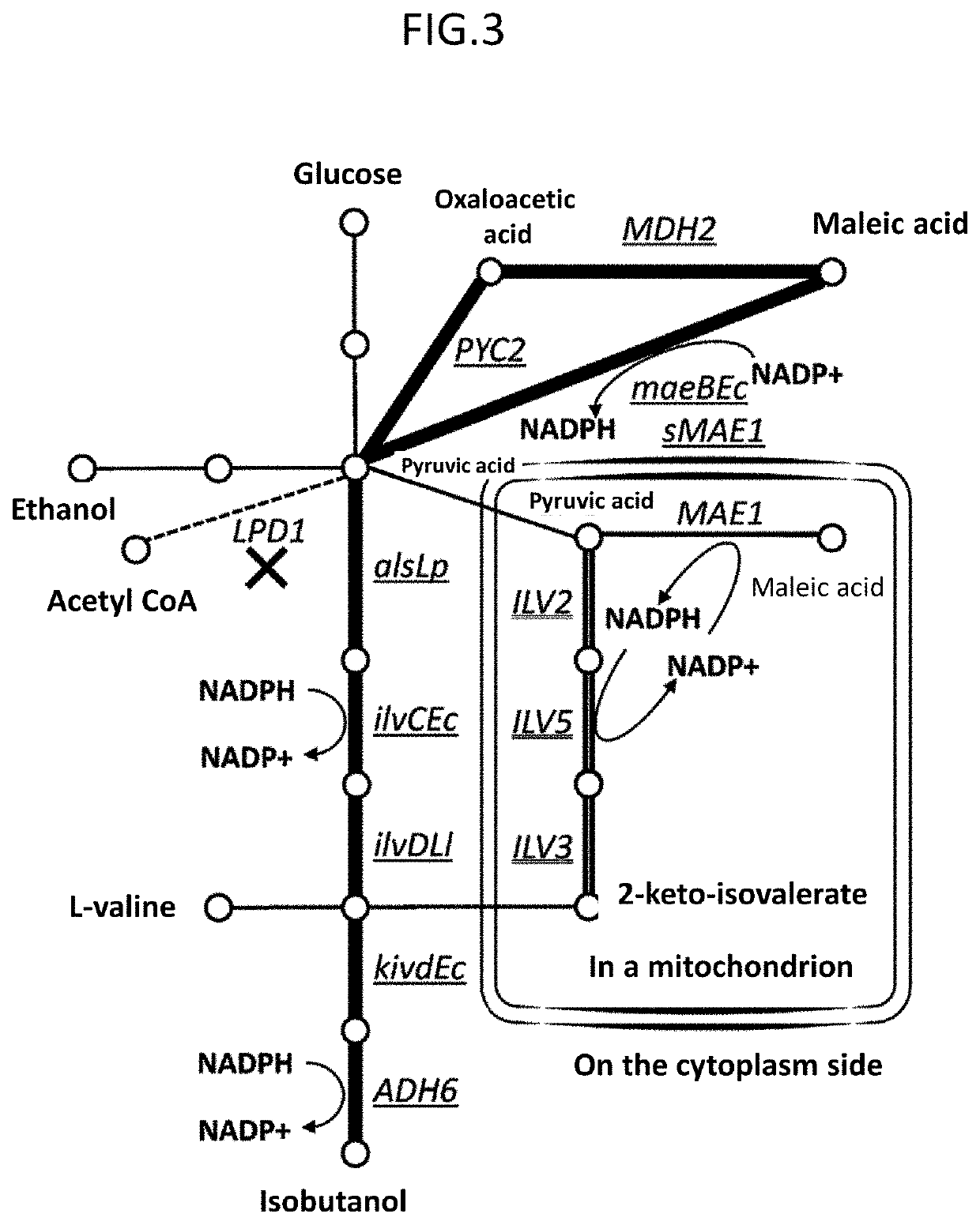 Method for constructing chimeric plasmid library