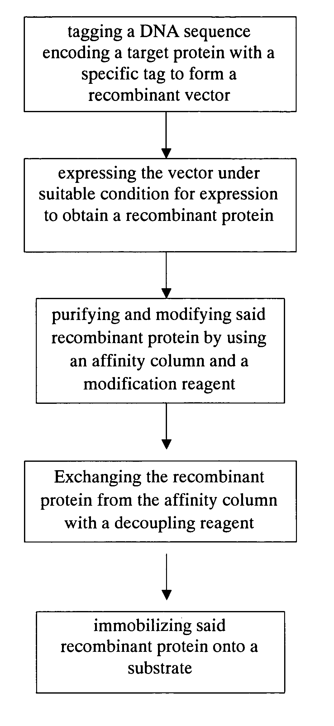 Method for purification, modification and immobilization of recombinant protein