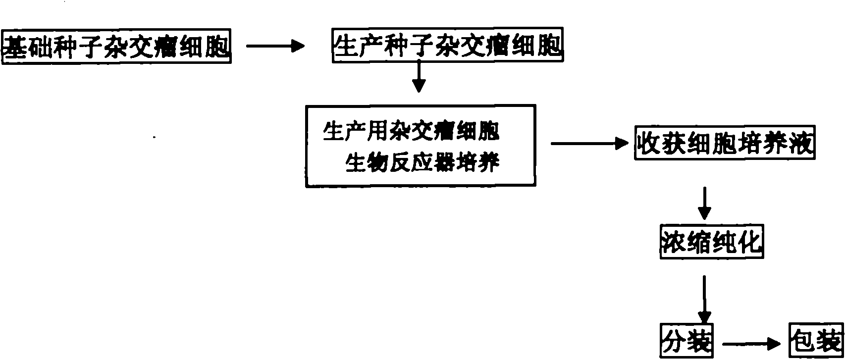 Method for producing curative canine parvovirus virus monoclonal antibody by using bioreactor