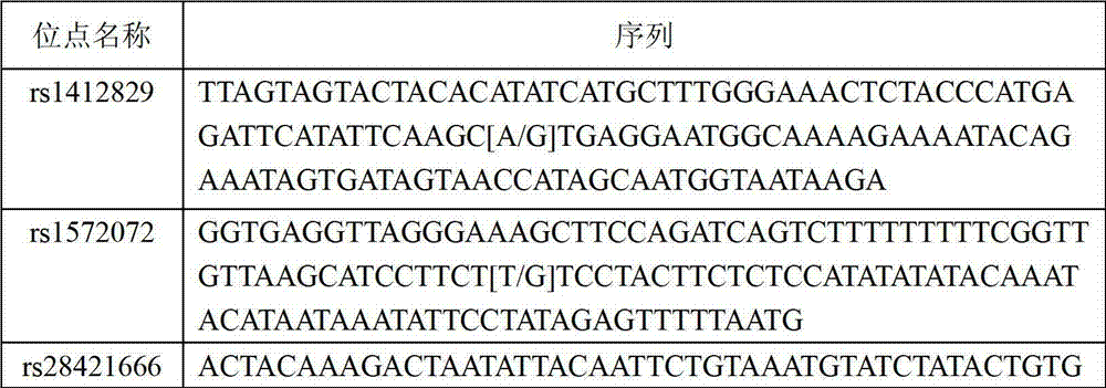 Kit for detecting susceptibility gene SNP locus of nasopharynx cancer