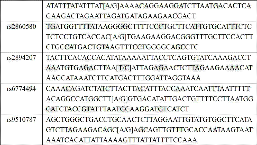 Kit for detecting susceptibility gene SNP locus of nasopharynx cancer