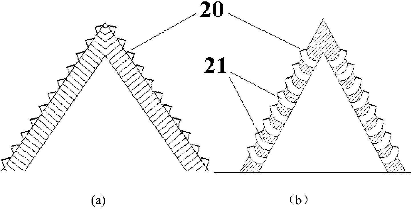 Fast cultivation device of paridis rhizoma seedlings by natural energy and optimized cultivation method of paridis rhizoma seedlings