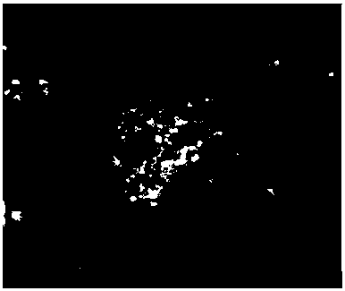 Preparation method of Fe3O4-based biochar soil passivating agent