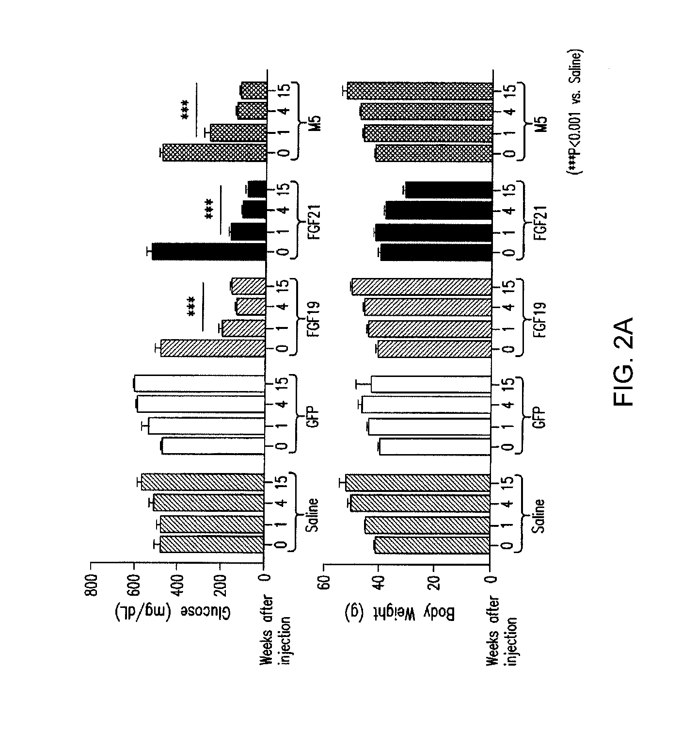 Compositions comprising variants and fusions of FGF19 polypeptides