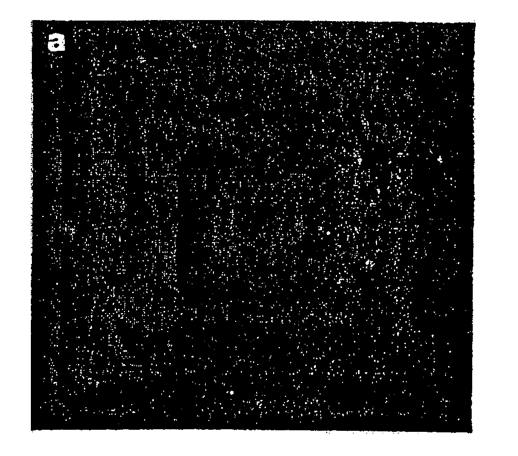 Peptide mediated synthesis of metallic and magnetic materials