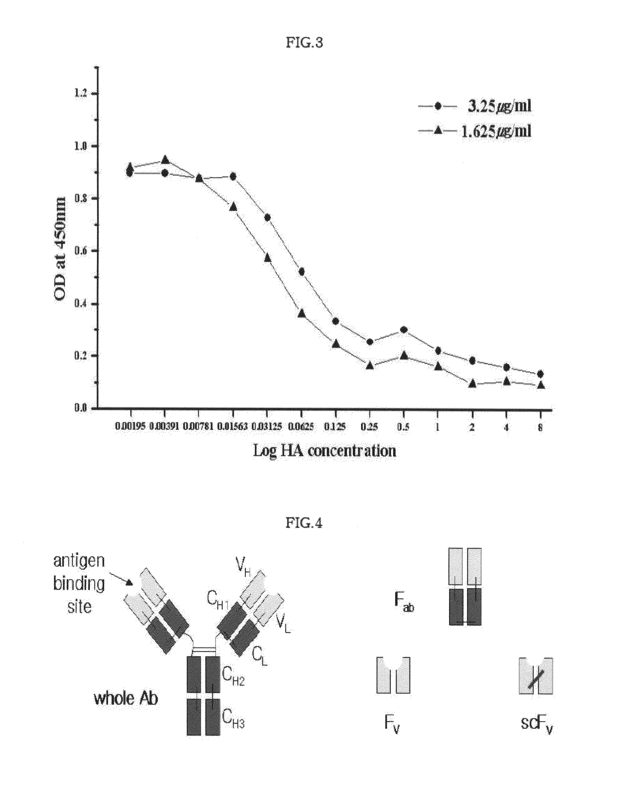 Monoclonal antibody for hippuric acid antigen