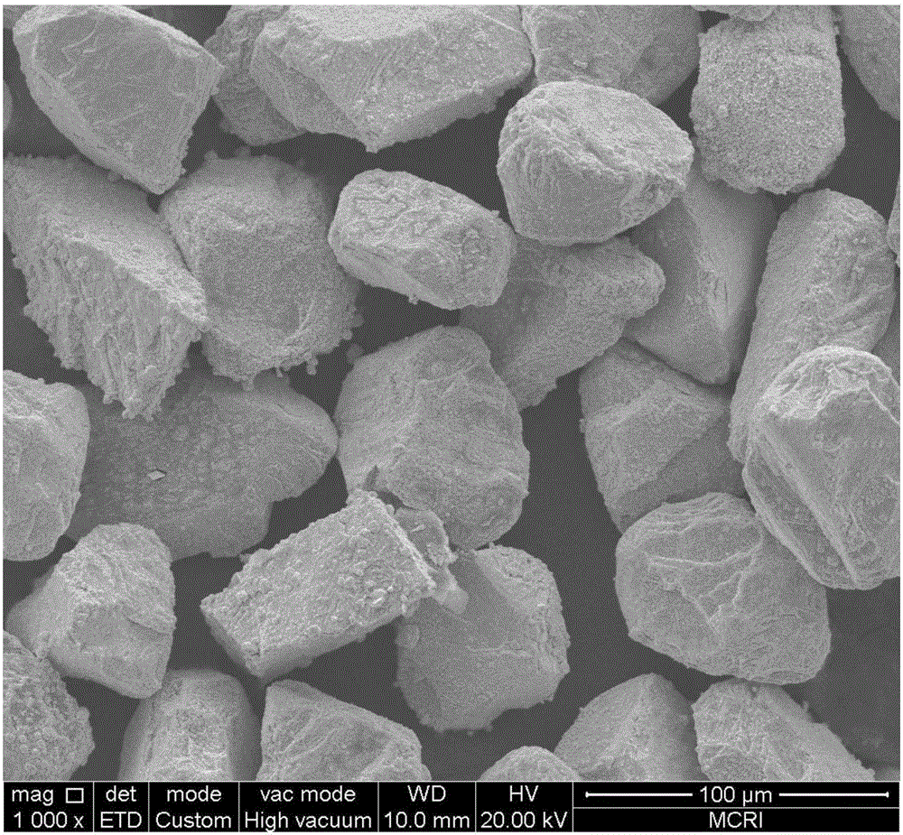 Diamond salt fusing and tungsten plating method