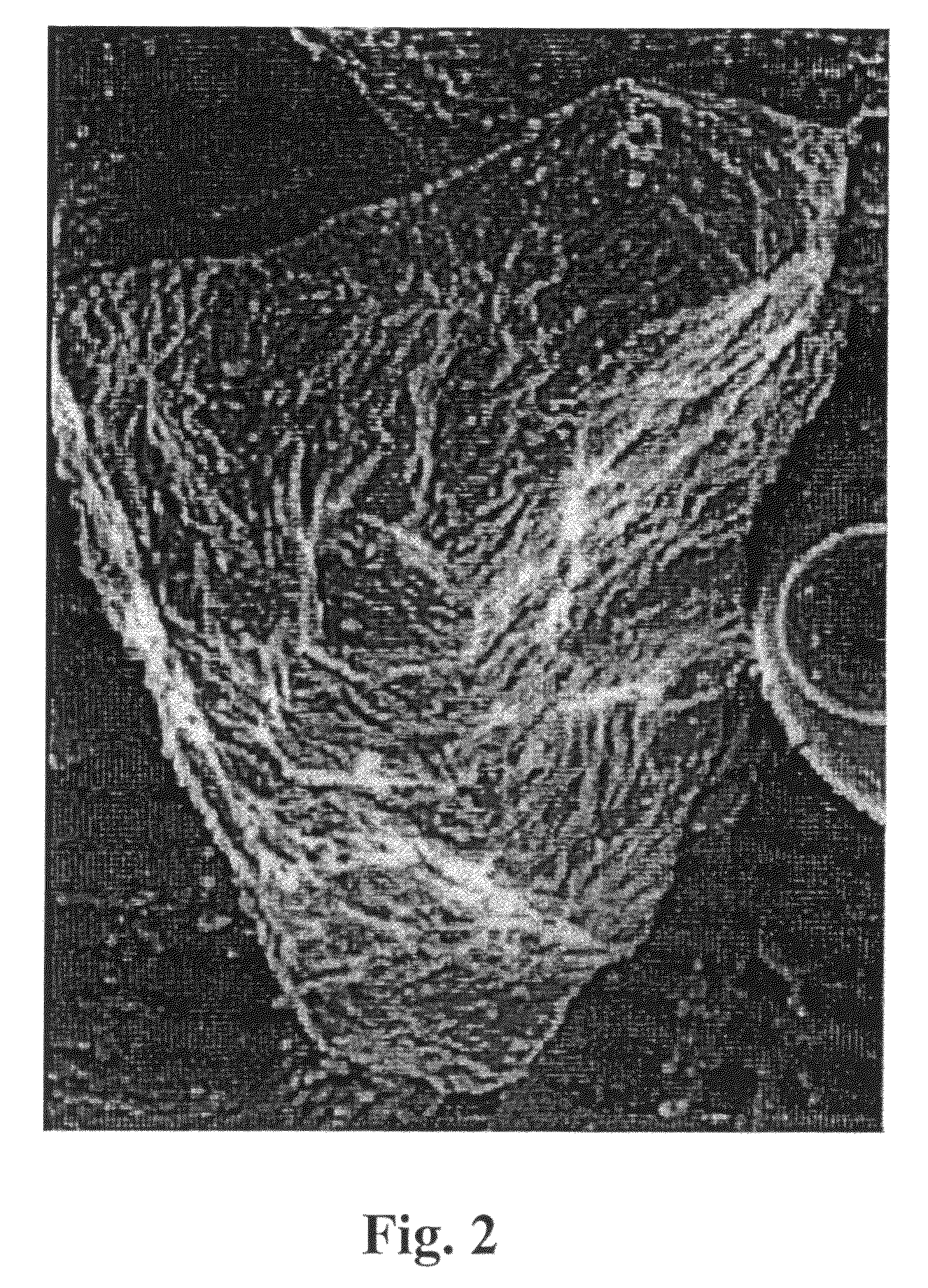 Nonmagnetic material for producing parts or coatings adapted for high wear and corrosion intensive applications, nonmagnetic drill string component, and method for the manufacture thereof