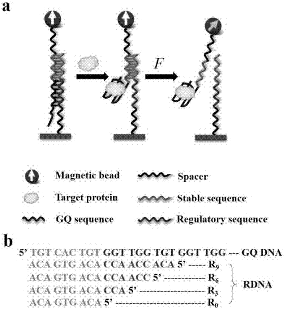 Method for detecting thrombin protein concentration