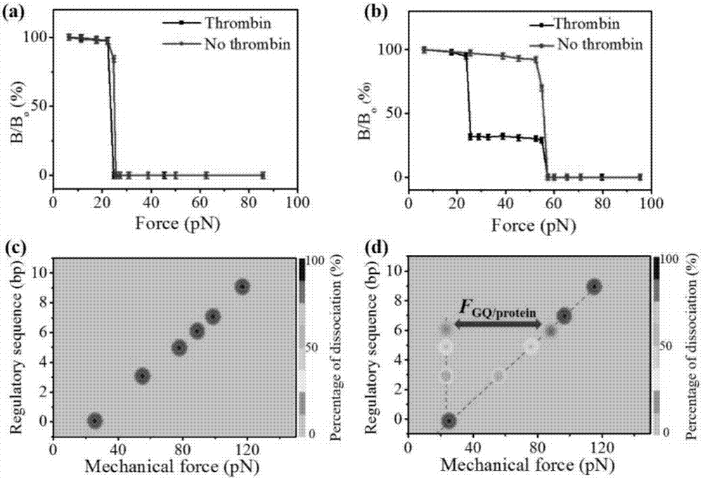 Method for detecting thrombin protein concentration