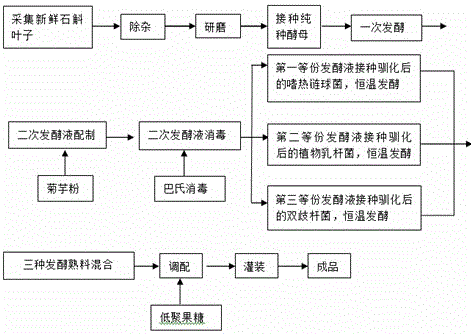 Novel probiotic dendrobium enzyme and production technology thereof