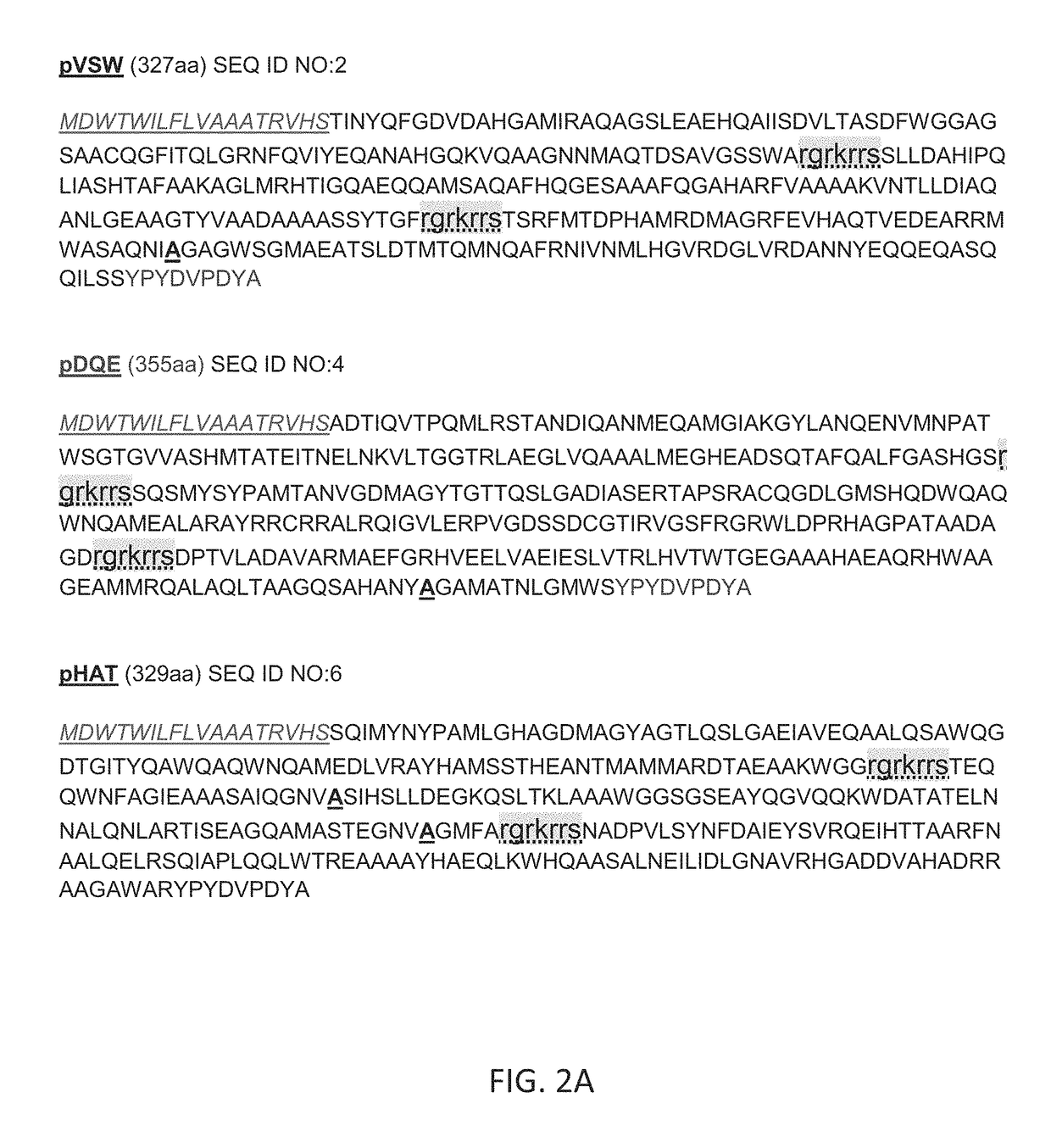 Synthetic immunogens for prophylaxis or treatment of tuberculosis