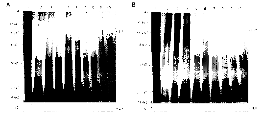 Preparation method of core-shell molecular imprinting nano-material, and application of nano-material