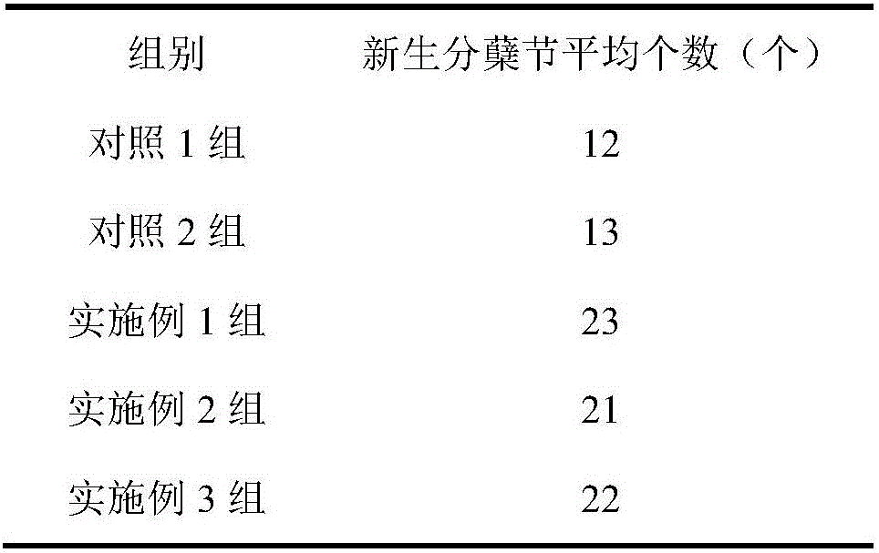 Method of improving asexual breeding speed of creepers of zoysia japonica plants