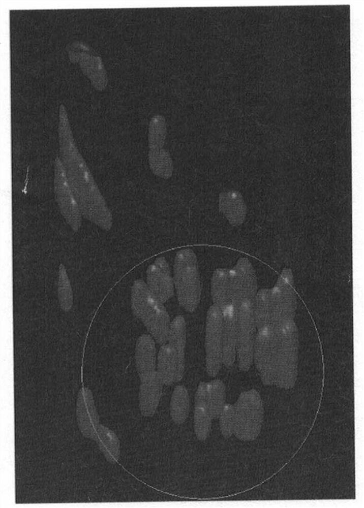 A particle counting device for interaction between 2D image and 3D image