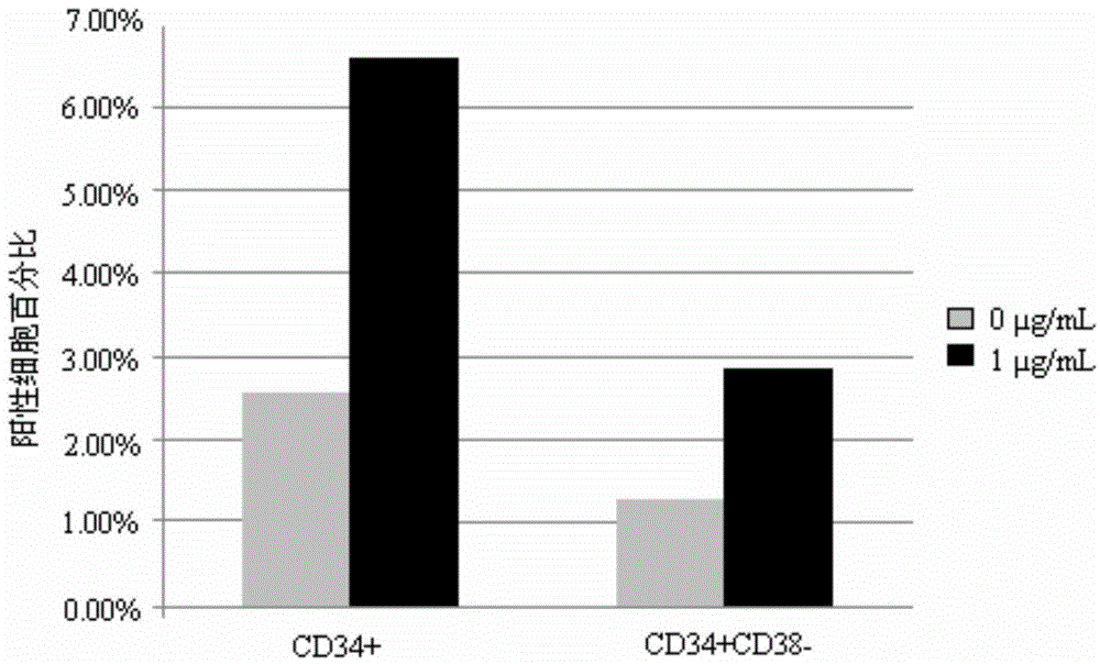 Applications of CAPE (Caffeic Acid Phenylethyl Ester) in culturing hematopoietic stem/progenitor cells in vitro