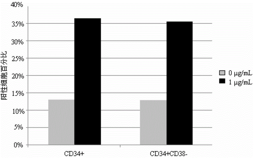 Applications of CAPE (Caffeic Acid Phenylethyl Ester) in culturing hematopoietic stem/progenitor cells in vitro