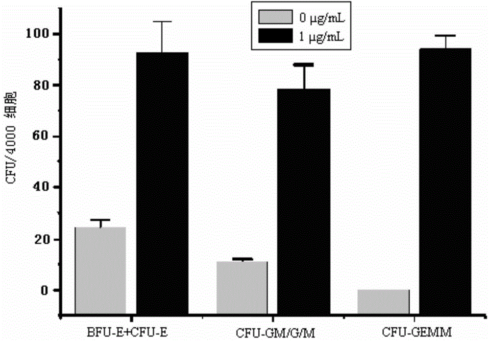 Applications of CAPE (Caffeic Acid Phenylethyl Ester) in culturing hematopoietic stem/progenitor cells in vitro