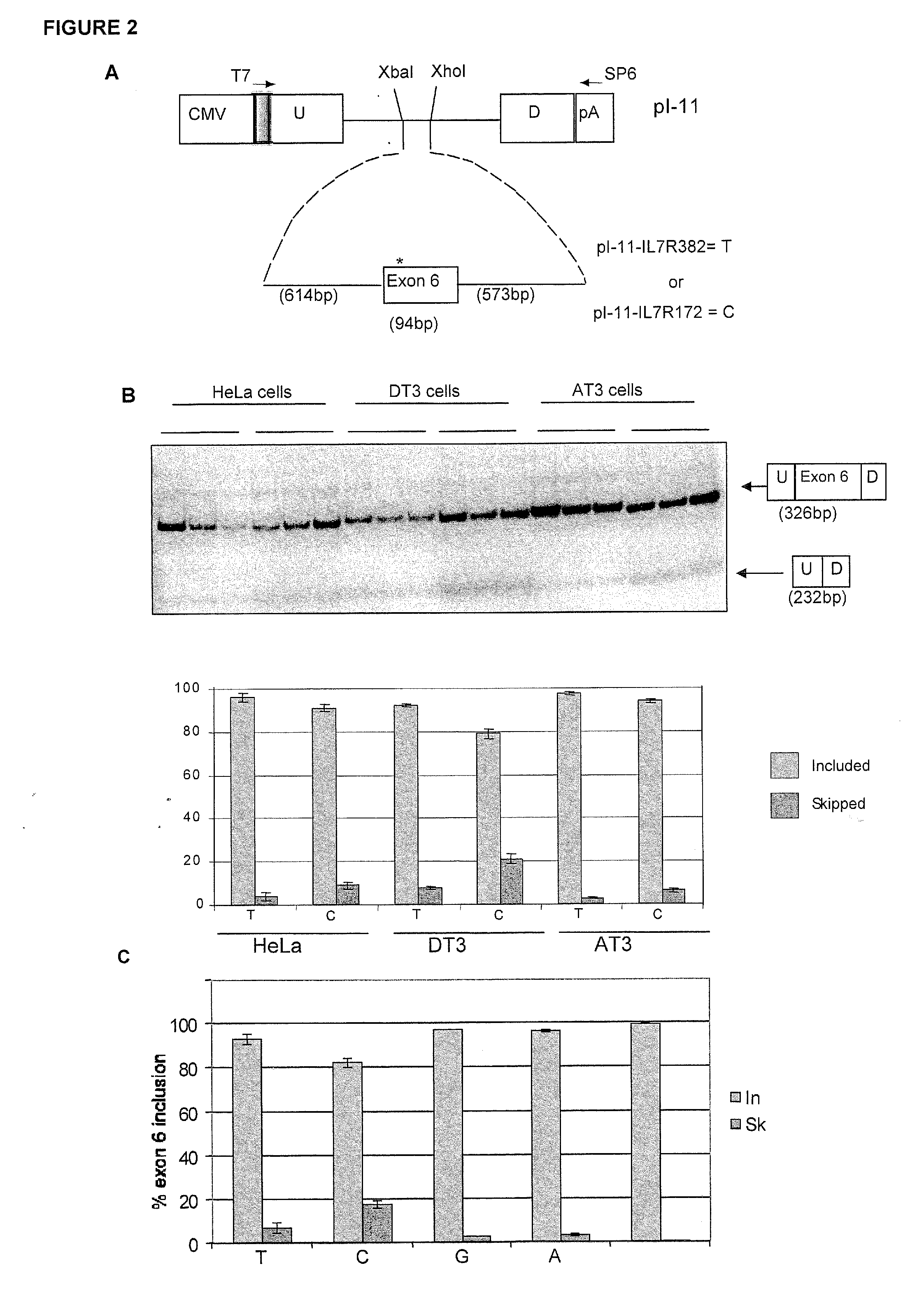 Methods and compositions for correlating genetic markers with multiple sclerosis