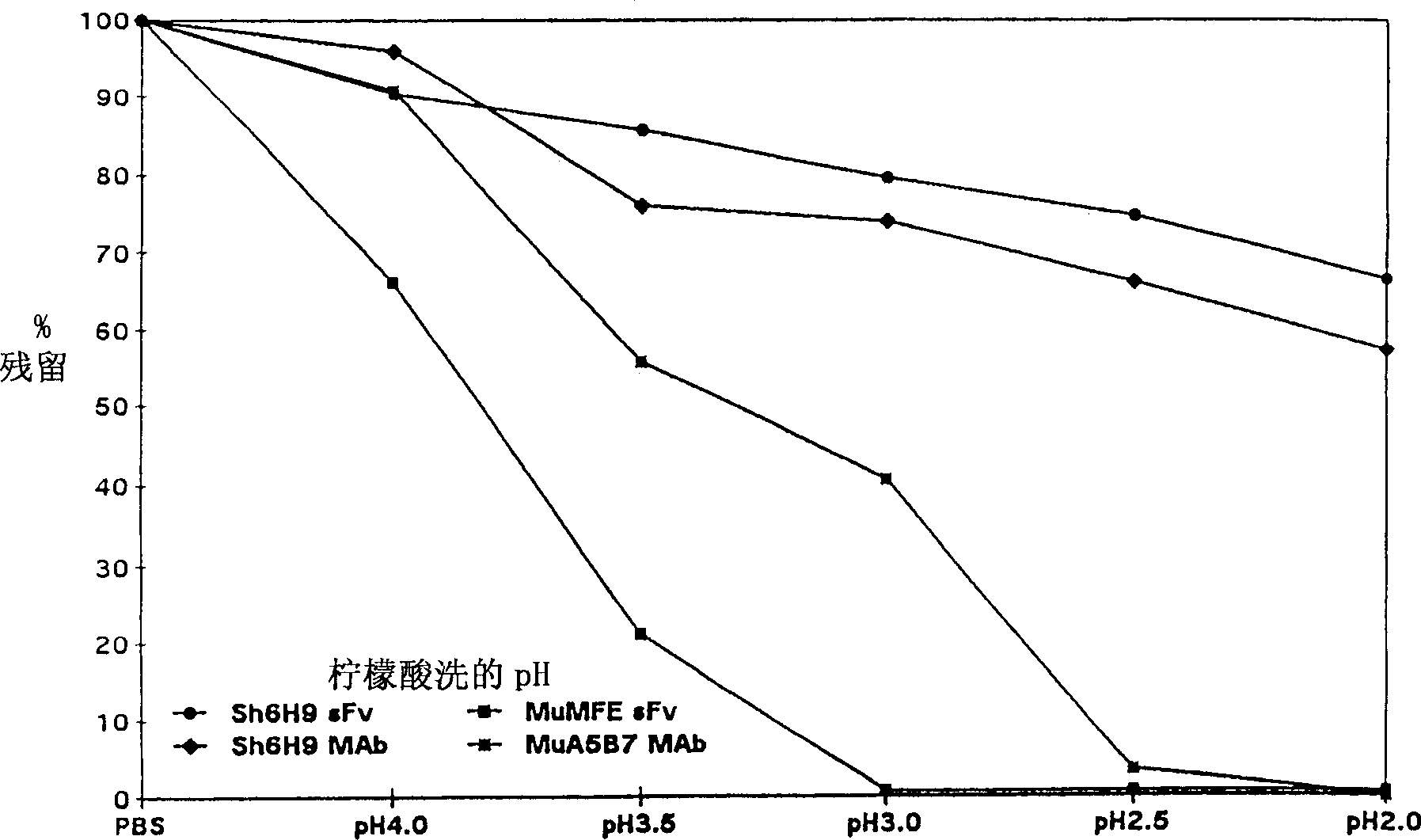 High-affinity antibodies