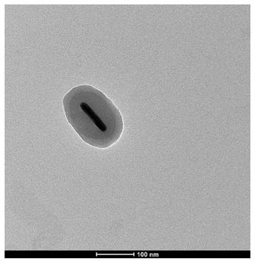 Amino-functionalization gold nanoparticle core-shell structure MOF-5 and preparing method thereof