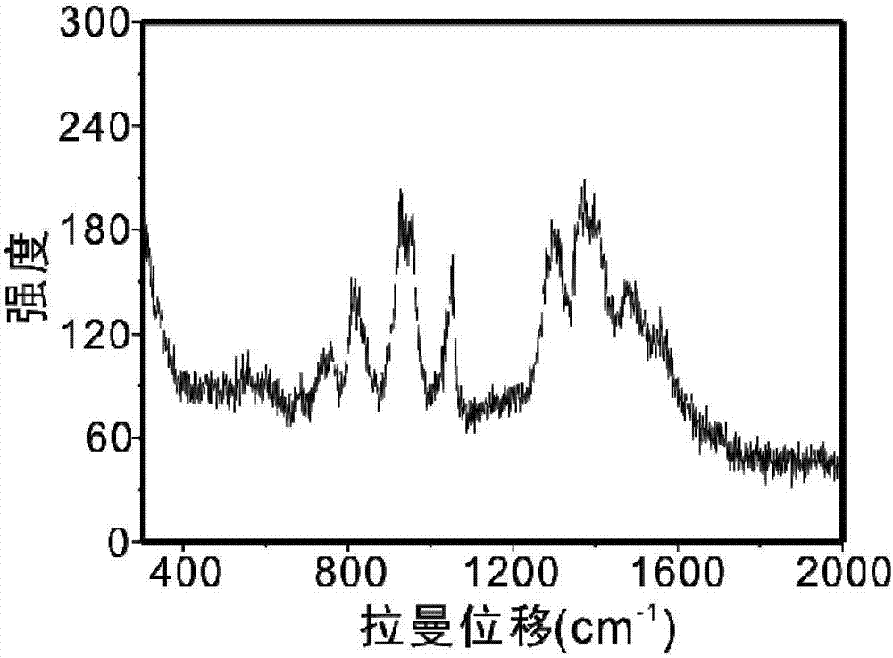 Orientated surface enhanced Raman spectrum detection method based on high-activity site